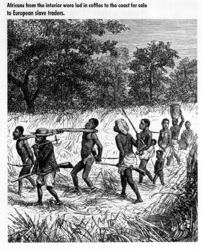slaves picking cotton. The World In Which Equiano